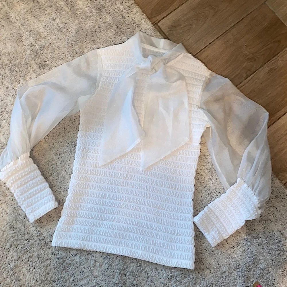 Vintage sheer arm blouse - Picture 1 of 10